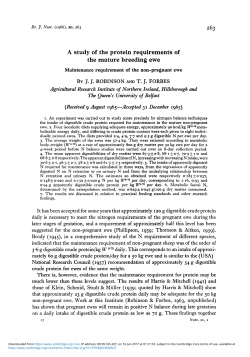 A study of the protein requirements of the mature breeding ewe