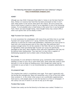 Bee Feeding Recipes