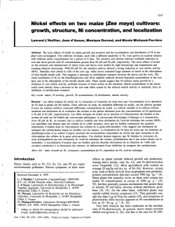 Nickel effects on two maize (Zea mays) cultivars : growth, structure