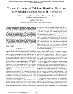 Channel Capacity of Calcium Signalling Based on Inter