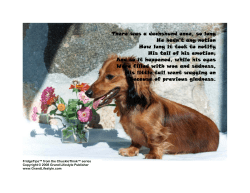 There was a dachshund once, so long He hadn`t any notion How