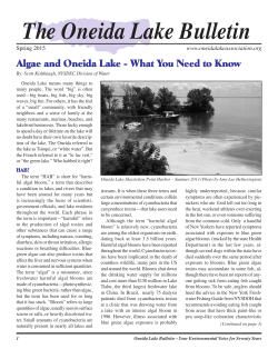 The Oneida Lake Bulletin - The Oneida Lake Association