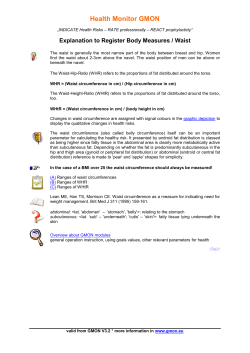 GMON Helpfile (Waist)