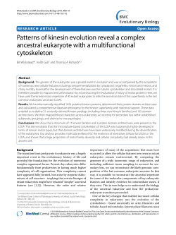 Patterns of kinesin evolution reveal a complex ancestral eukaryote