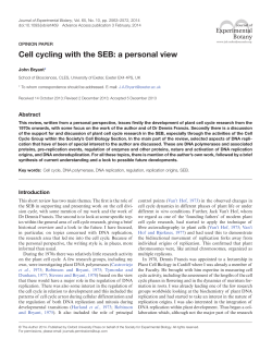 Cell cycling with the SEB: a personal view