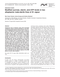 Modified sucrose, starch, and ATP levels in two