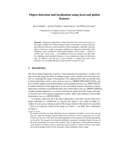 Object detection and localization using local and global features