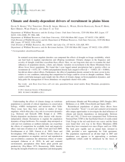 Climate and density-dependent drivers of recruitment in plains bison