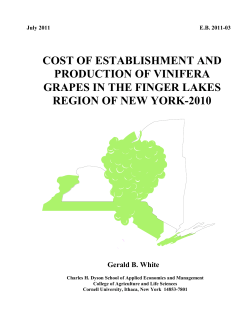 cost of production for vinifera grapes in