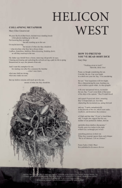 COLLAPSING METAPHOR HOW TO PRETEND YOU`VE READ