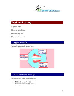Teeth and eating - 24HoursTutor.com