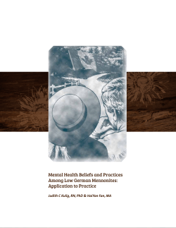 Mental Health Beliefs and Practices Among Low German Mennonites