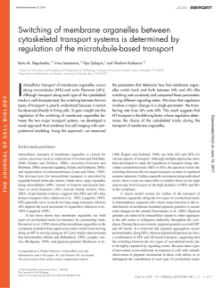Switching of membrane organelles between cytoskeletal transport