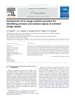 Development of an image analysis procedure for identifying