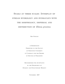 Snails at three scales: Interplay of stream hydrology and hydraulics