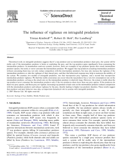 The influence of vigilance on intraguild predation