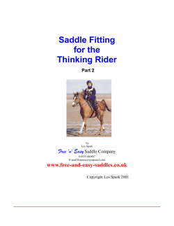 Saddle Fitting for the Thinking Rider