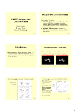 Imagery and Consciousness