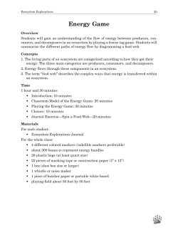 Energy Game.p65