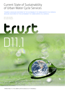 Current State of Sustainability of Urban Water Cycle Services