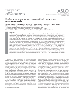Benthic grazing and carbon sequestration by deep‐water glass