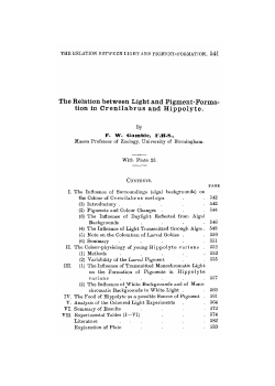 The Relation between Light and Pigment-Forma