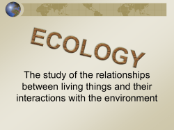 Ecology- The study of the relationships between living things and