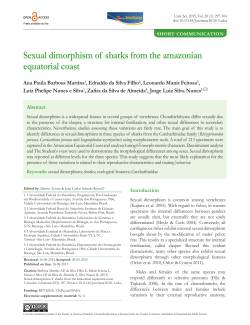 Sexual dimorphism of sharks from the amazonian equatorial coast