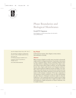Phase Boundaries and Biological Membranes