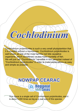 Cochilodinium Pamphlets (in English: 1855KB)