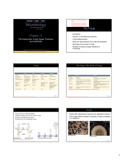 Microbiology - Bethel College