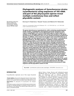 Phylogenetic analyses of Synechococcus strains