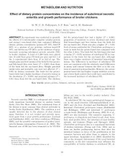 Effect of dietary protein concentrates on the