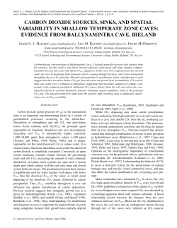 carbon dioxide sources, sinks, and spatial variability in shallow