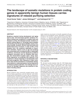 The landscape of somatic mutations in protein
