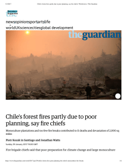 Chile`s forest fires partly due to poor...ire chiefs | World news | The