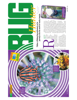 Read Article