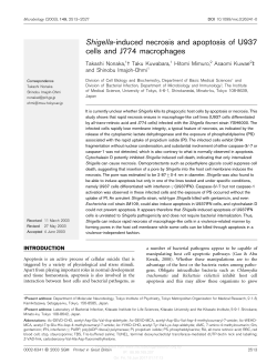 Shigella-induced necrosis and apoptosis of U937