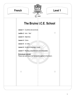 The Bruins ICE School - Boston Bruins