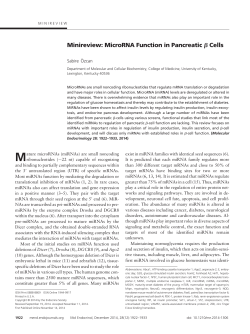 Minireview: MicroRNA Function in Pancreatic Я Cells