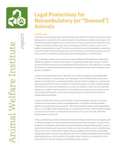 Legal Protections for Nonambulatory