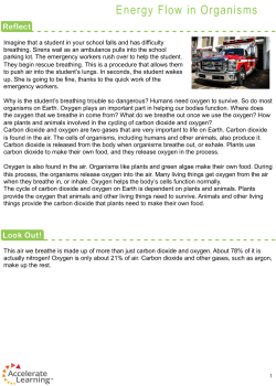 Energy Flow in Organisms