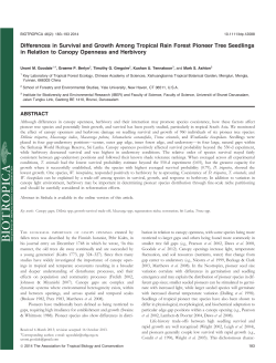 Differences in Survival and Growth Among Tropical Rain Forest