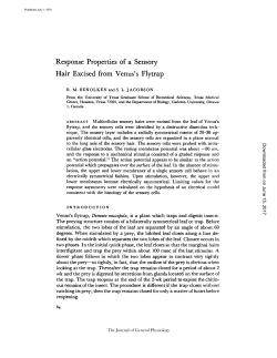 Response Properties of a Sensory Hair Excised from Venus`s Flytrap