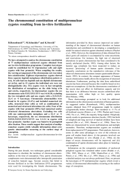The chromosomal constitution of multipronuclear zygotes resulting