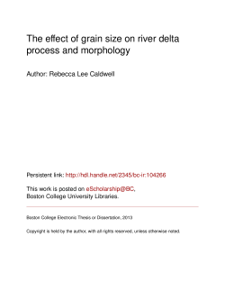 The effect of grain size on river delta process and morphology