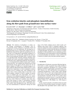Iron oxidation kinetics and phosphate immobilization along the flow