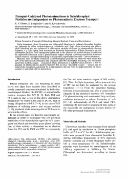 Paraquat-Catalyzed Photodestructions in