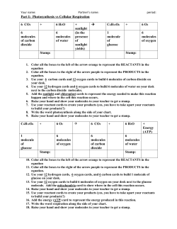 Part I: Photosynthesis vs Cellular Respiration 6 O2 6 CO2 6 H2O +