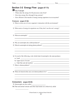 Section 3-2 Energy Flow (pages 67-73)